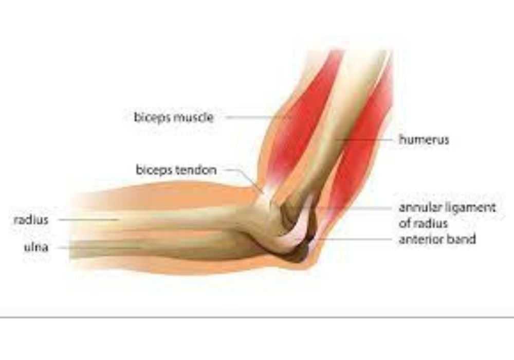 Elbow ligament injury 