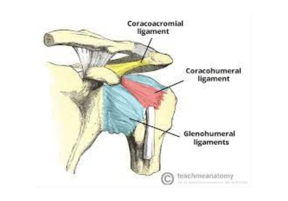 Subacromial tendonitis 