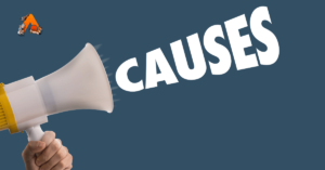 causes
