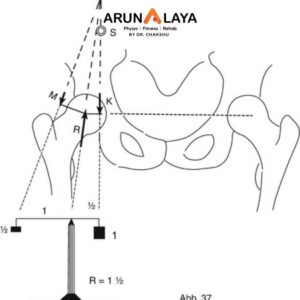 Biomechanical assessment of hip