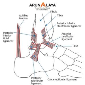 Distal tibiofemoral syndesmosis treatment at Arunalaya