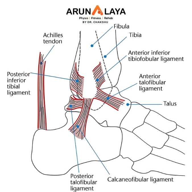 Distal tibiofemoral syndesmosis treatment at Arunalaya
