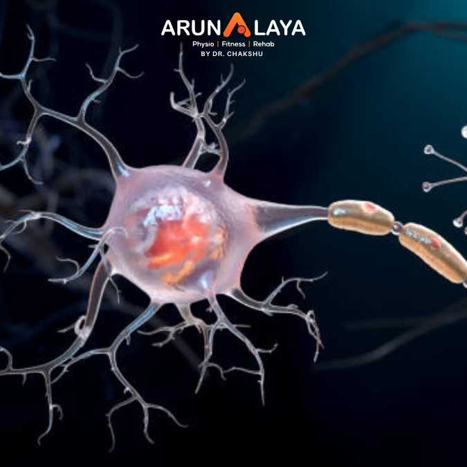 Adult neurogenesis treatment at Arunalaya