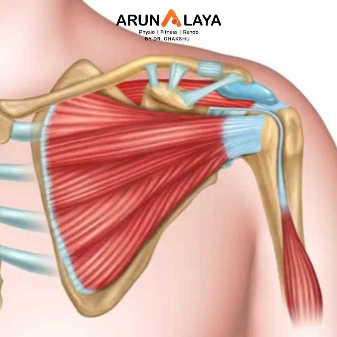 Rotator cuff injury treatment and cure