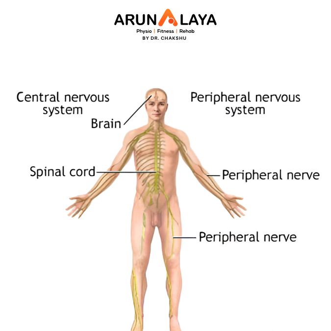 mixed sensorimotor neuropathy treatment and cure