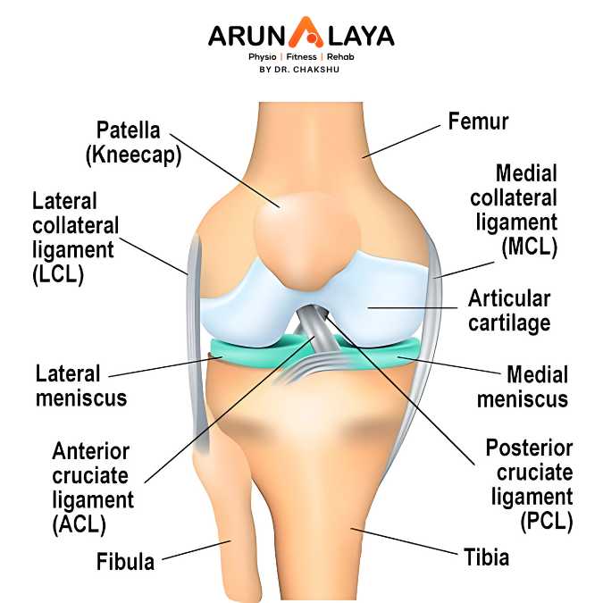 torn meniscus treatment and cure