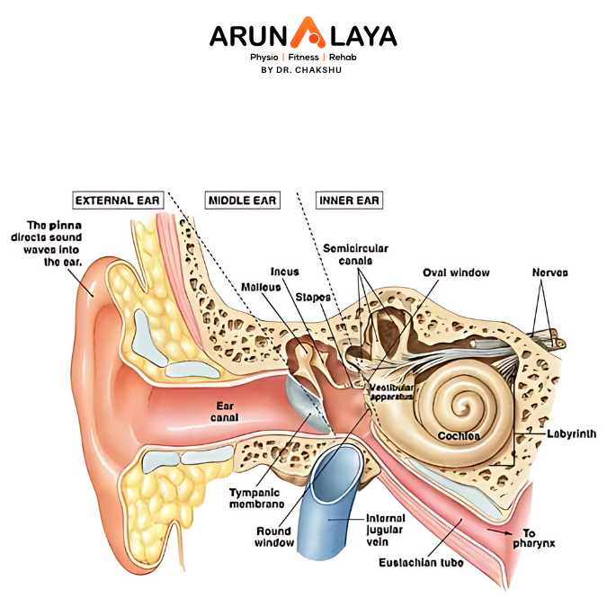 vestibular disorder treatment and cure