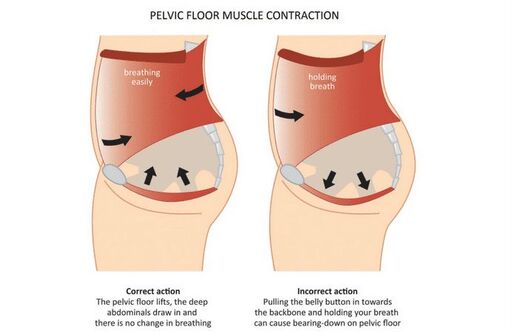 pelvic