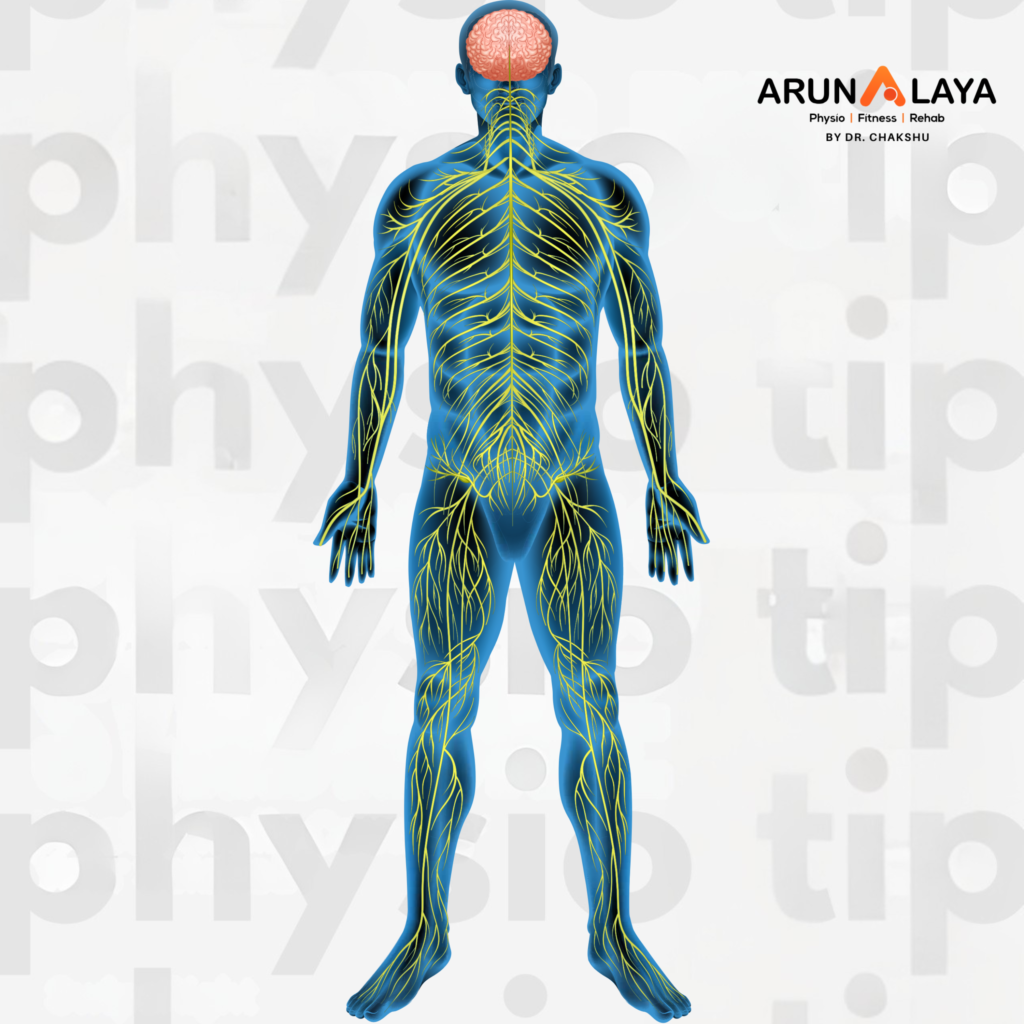 sciatica, spine therapy, spine, pain , lowerback pain ,upeeer back pain, pain managemet