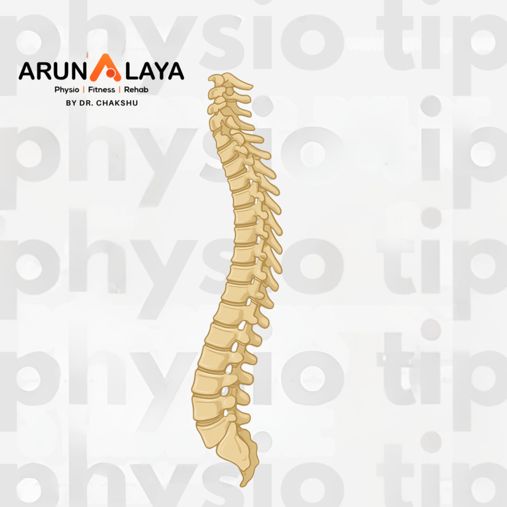 spine therapy
