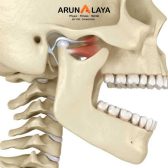 CHEWING GUM CAUSING TMJ DYSFUNCTION